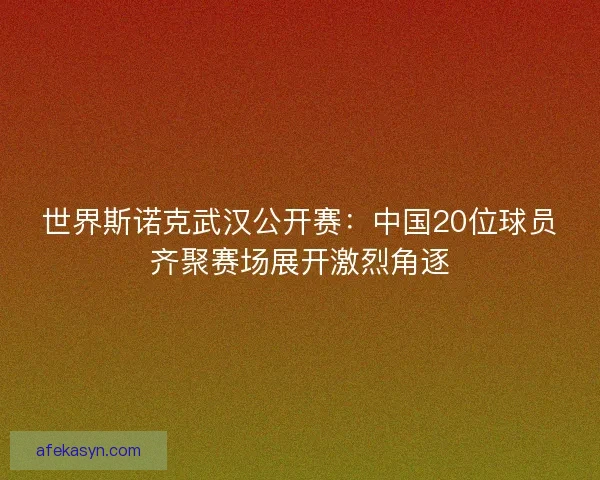 世界斯诺克武汉公开赛：中国20位球员齐聚赛场展开激烈角逐