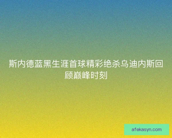 斯内德蓝黑生涯首球精彩绝杀乌迪内斯回顾巅峰时刻 斯内德蓝黑生涯首球精彩绝杀乌迪内斯回顾巅峰时刻